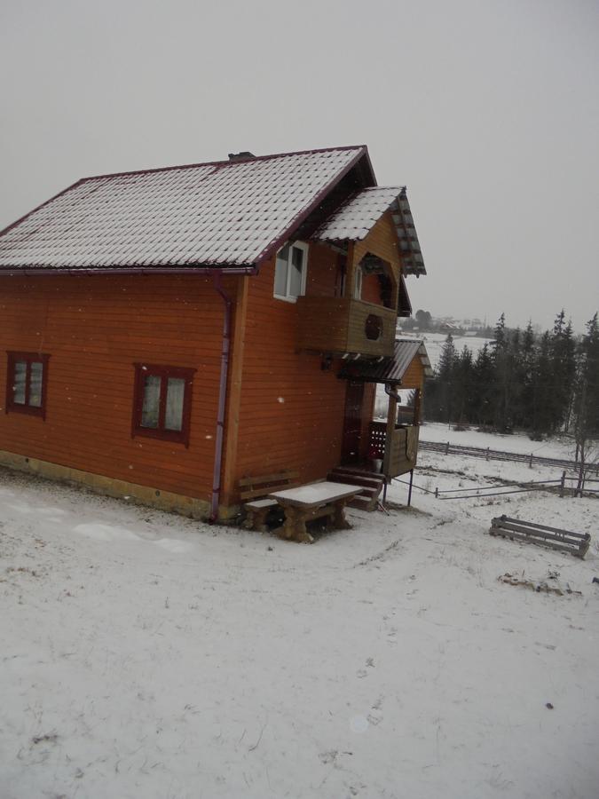 Lisovychok Villa Vorokhta Exterior photo